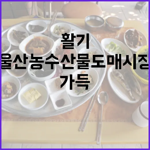 울산 농수산물도매시장 활기 가득