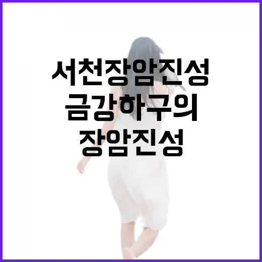 서천 장암진성, 금강 하구의 역사와 자연