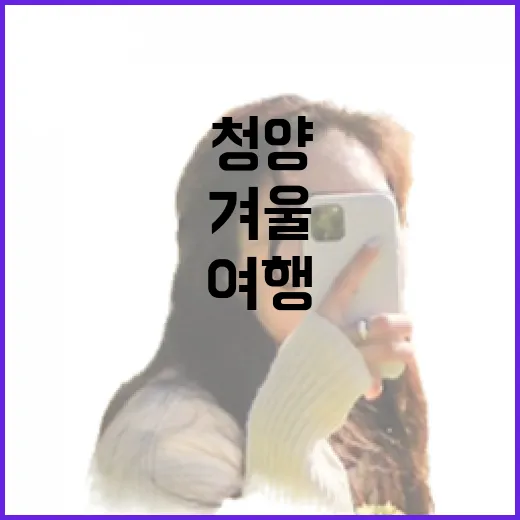 겨울 청양 여행 완벽 코스 추천