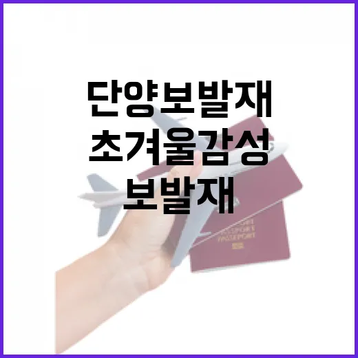 초겨울 감성 품은 단양 보발재의 매력