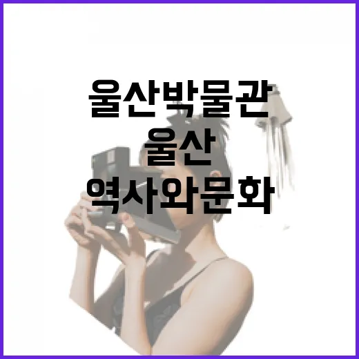 울산 박물관, 역사와 문화의 만남