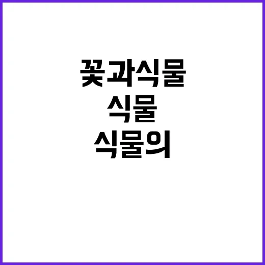 화투 속 꽃과 식물의 숨은 이야기