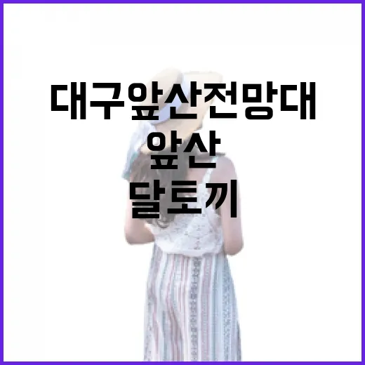 대구 앞산 전망대, 달 토끼와 함께하는 야경 산행