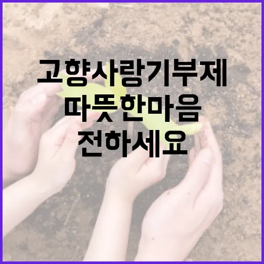 연말, 고향사랑기부제로 따뜻한 마음 전하세요