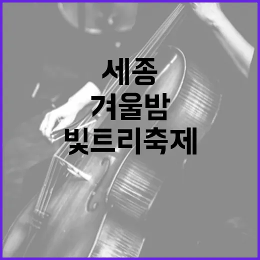 세종 빛트리축제, 겨울밤을 밝히다