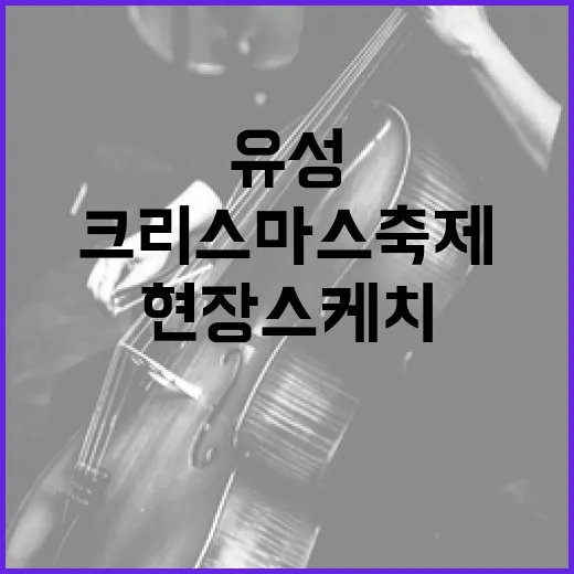 유성온천 크리스마스 축제 현장 스케치