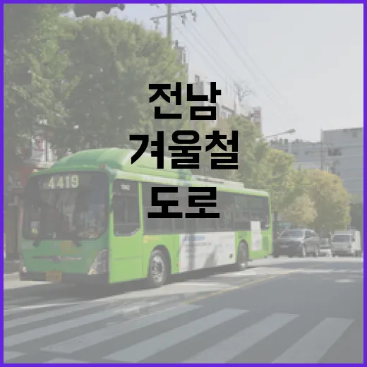 겨울철 전남 도로, 블랙아이스 철저 대비법