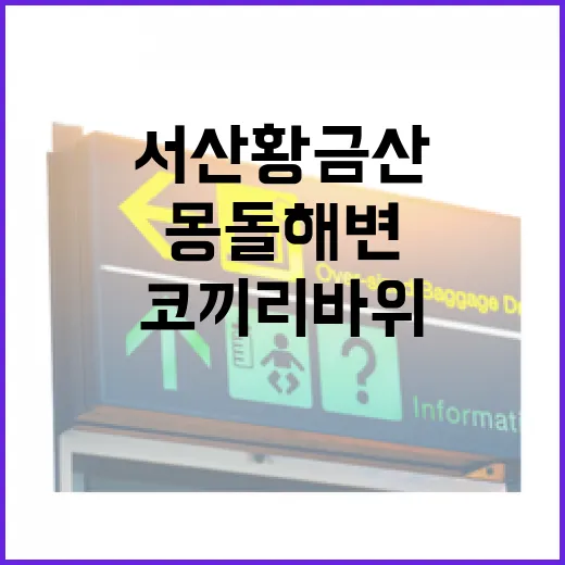 서산 황금산 코끼리바위와 몽돌해변 절경