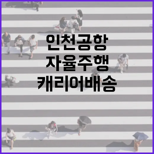인천공항 자율주행 로봇, 캐리어 배송 시범