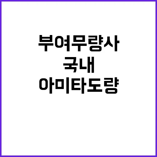 부여 무량사, 국내…