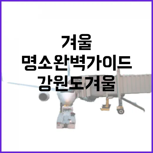 강원도 겨울 명소 완벽 가이드
