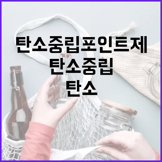 탄소중립포인트제 내년 예산 181억 확대