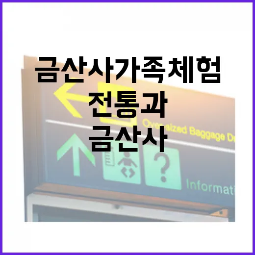 금산사 가족 체험, 전통과 힐링의 만남