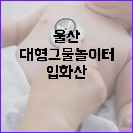 울산 입화산 대형 그물놀이터 인기