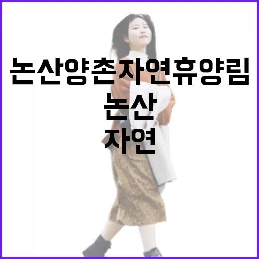 논산 양촌자연휴양림, 자연 속 안락한 쉼터