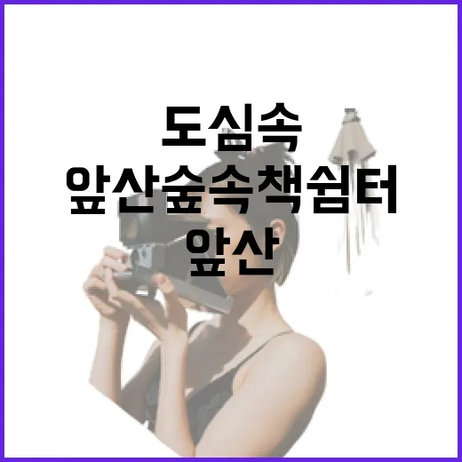 앞산 숲속 책 쉼터, 도심 속 힐링 명소로
