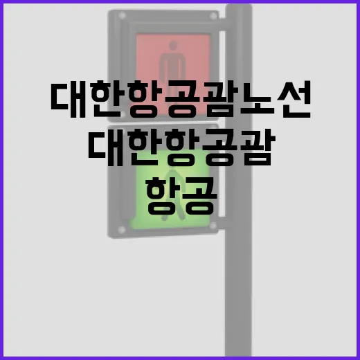 대한항공 괌 노선 시정명령 변경 신청 사실