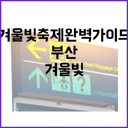 부산 다대포 겨울빛축제 완벽 가이드