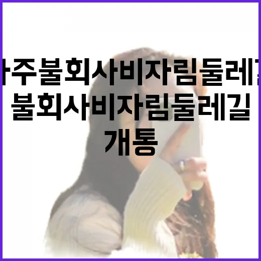 나주 불회사 비자림 둘레길 완전 개통