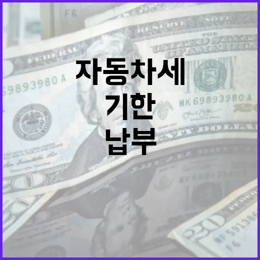 12월 자동차세 납부, 기한 엄수 필수