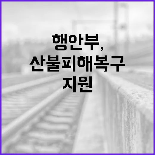 행안부, 산불 피해 복구 신속 지원 약속