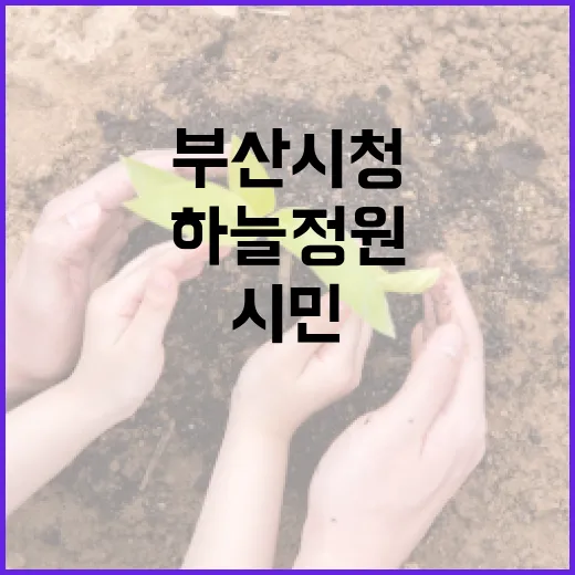 부산시청 옥상 하늘정원 시민 품으로
