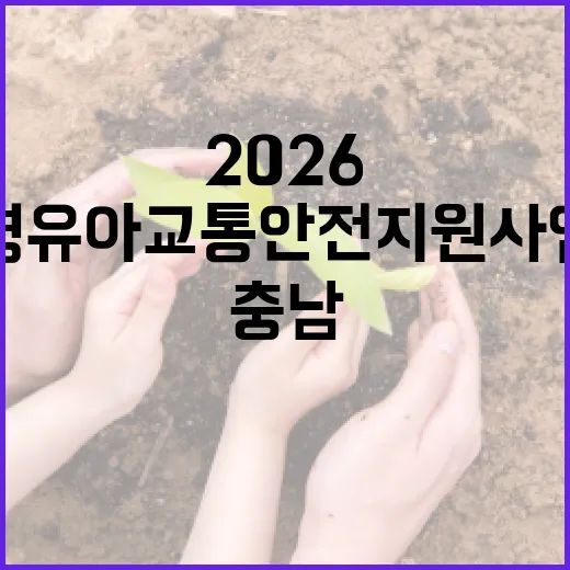 2026 충남 영유아 교통안전 지원사업 전격 시행