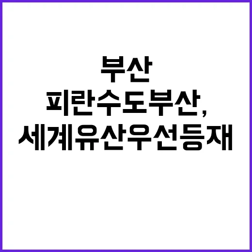 피란수도 부산, 세…