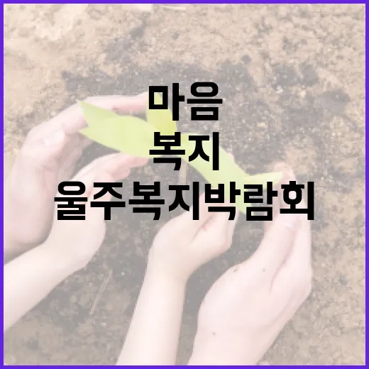 울주 복지박람회, 마음 잇는 현장 체험의 장