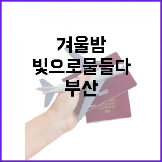 부산 겨울밤, 빛으로 물들다