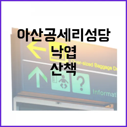 아산 공세리성당, 낙엽과 크리스마스의 겨울 산책