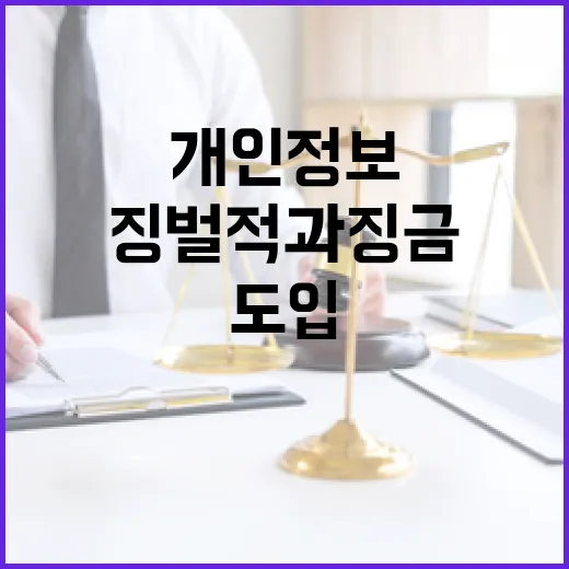 개인정보 보호 강화, 징벌적 과징금 도입
