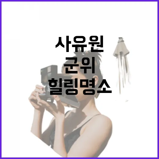 군위 사유원, 도심 속 힐링 명소