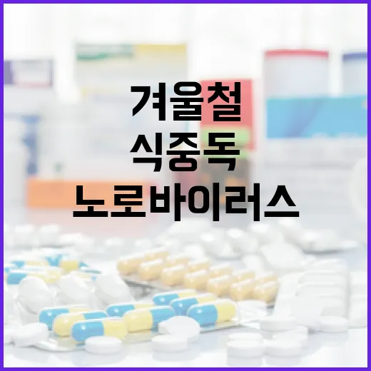 겨울철 노로바이러스 식중독 예방 집중 점검