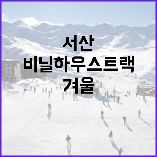 서산 비닐하우스 트랙, 겨울 러너들의 성지