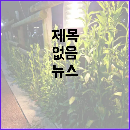 제목 미지정 뉴스 내용 없음