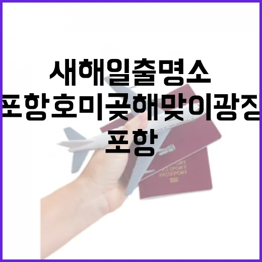 포항 호미곶해맞이광장, 새해 일출 명소