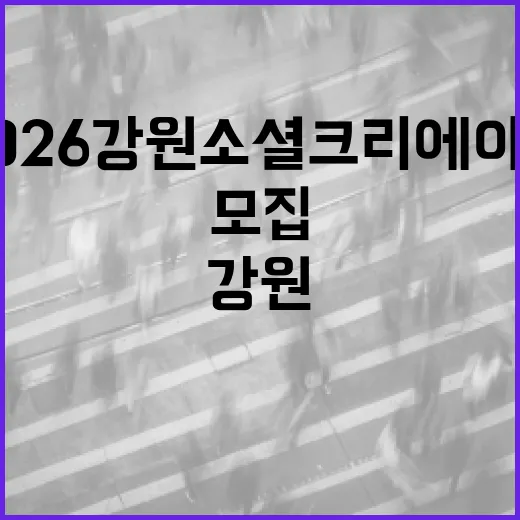 2026 강원 소셜 크리에이터 대규모 모집