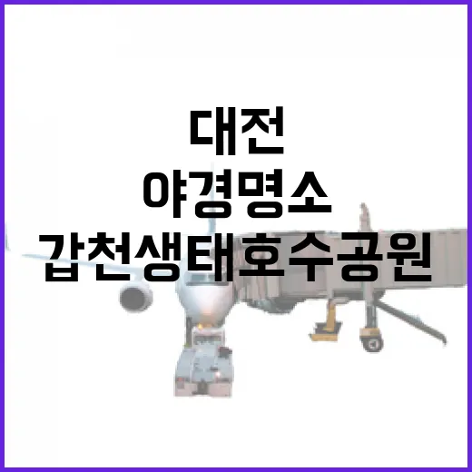 대전 갑천생태호수공원, 겨울밤의 은은한 야경 명소