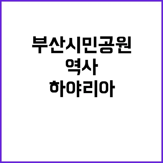 부산 시민공원, 하야리아의 숨겨진 역사