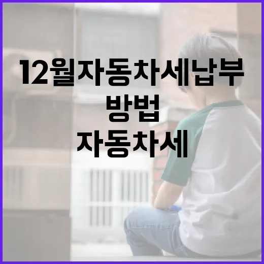 12월 자동차세 납부, 편리한 방법 총정리