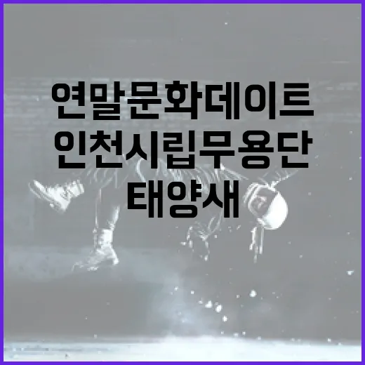 인천시립무용단 태양새, 연말 문화 데이트 명작