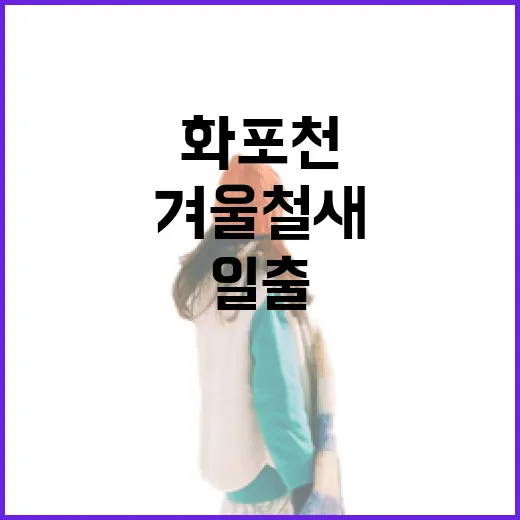 화포천에서 만나는 겨울 철새와 일출의 조화