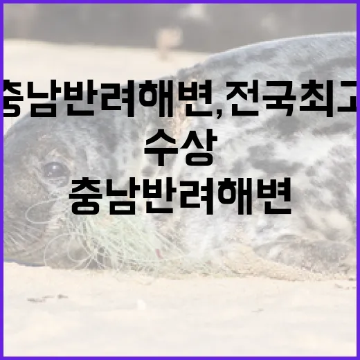 충남 반려해변, 전국 최고 해양환경상 수상