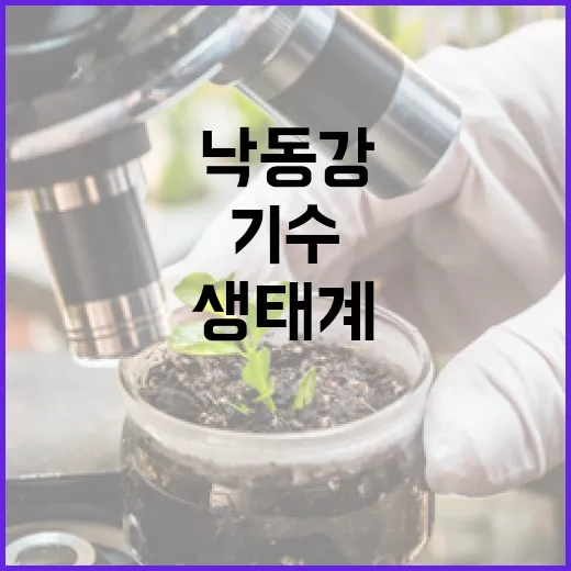 낙동강 하굿둑 개방 3년, 기수역 생태계 회복