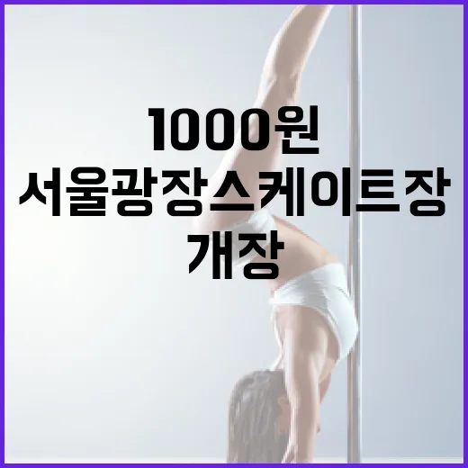 서울광장 스케이트장 1000원 개장