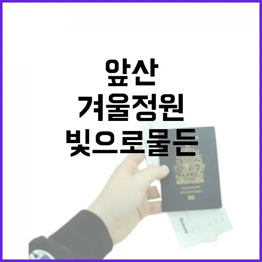 앞산 겨울정원, 빛으로 물든 연말 풍경