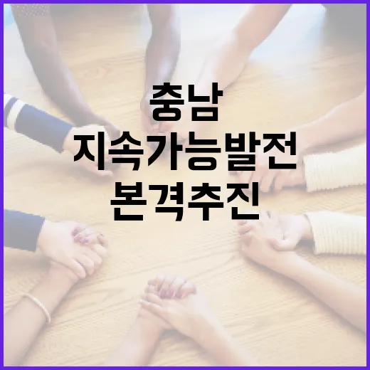 충남 섬, 지속가능 발전 전략 본격 추진