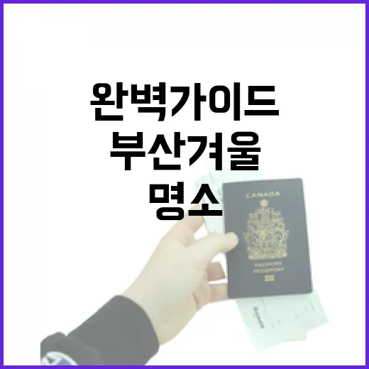 부산 겨울 데이트 명소 완벽 가이드