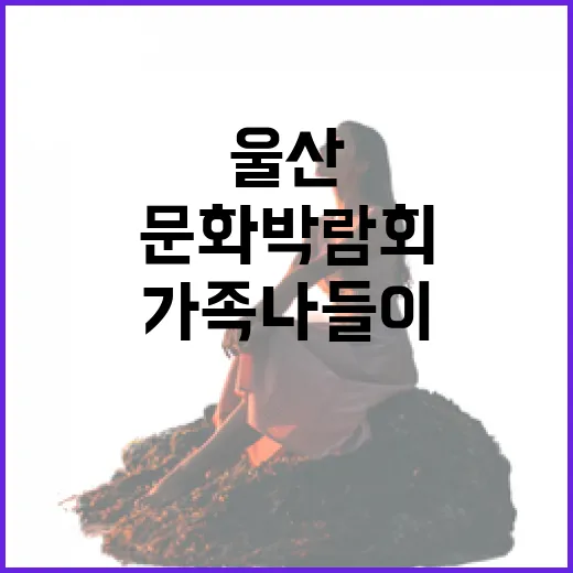 울산 언양 문화박람회 가족 나들이 명소